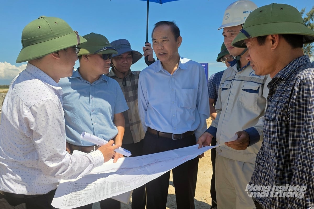 زراعت اور ماحولیات کے نائب وزیر پھنگ ڈک ٹائین نے کوانگ ٹری سے کہا کہ وہ کنٹریکٹرز پر زور دیں کہ وہ دریائے گیانہ کے شمال میں ماہی گیری کی کشتیوں کے لیے طوفان پناہ گاہ کے منصوبے کو جلد مکمل کریں تاکہ تعمیراتی پیشرفت اور سرمائے کی تقسیم کو یقینی بنایا جا سکے۔ تصویر: وو گوبر۔ Thứ trưởng Bộ NN&MT Phùng Đức Tiến đề nghị Quảng Trị đốc thúc nhà thầu gấp rút thi công Dự án Khu neo đậu tránh trú bão tàu cá Bắc sông Gianh để đảm bảo tiến độ thi công, giải ngân nguồn vốn. Ảnh: Võ Dũng.