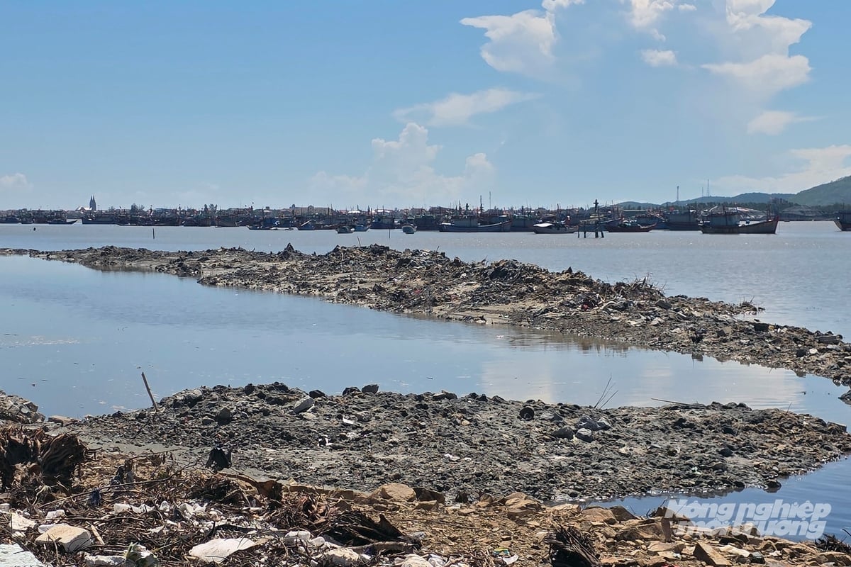 دریائے گیانہ کے شمال میں ماہی گیری کی کشتیوں کے لیے طوفان پناہ گاہ کے منصوبے کی اہم اشیاء پانی کے اندر تعمیر کی جاتی ہیں اور آبی گزرگاہ کے ذریعے منتقل کی جاتی ہیں۔ پراجیکٹ ایریا موہن میں واقع ہے، جو اکثر جوار، طوفان اور مون سون سے متاثر ہوتا ہے، اس لیے پیش رفت کو تیز کرنا مشکل ہے۔ تصویر: وو گوبر۔ Các hạng mục chính của Dự án Khu neo đậu tránh trú bão cho tàu cá Bắc sông Gianh thi công dưới nước, vận chuyển đường thủy; khu vực dự án ở vùng cửa sông, thường xuyên chịu ảnh hưởng của thủy triều, mưa bão và gió mùa nên rất khó đẩy nhanh tiến độ. Ảnh: Võ Dũng.