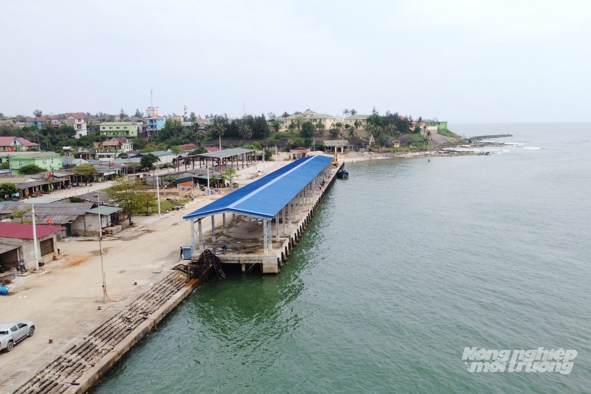 IUU ماہی گیری کے خلاف جنگ میں غریب ماہی گیری کا بنیادی ڈھانچہ بھی ایک رکاوٹ ہے۔ تصویر: وو گوبر۔ Hạ tầng nghề cá yếu kém cũng là một trở ngại trong công tác chống khai thác thủy sản IUU. Ảnh: Võ Dũng.