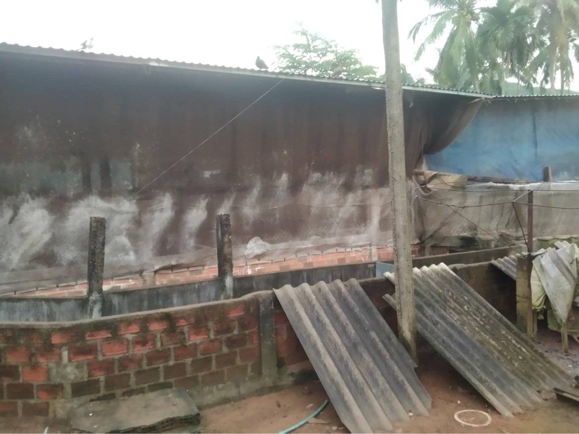 Chuồng heo của anh Nguyễn Văn Bình ở xã Hoài Ân đã được bảo vệ thêm 1 lớp bạt phía ngoài lớp lưới để ngăn gió trong bão số 13. Ảnh: V.Đ.T.