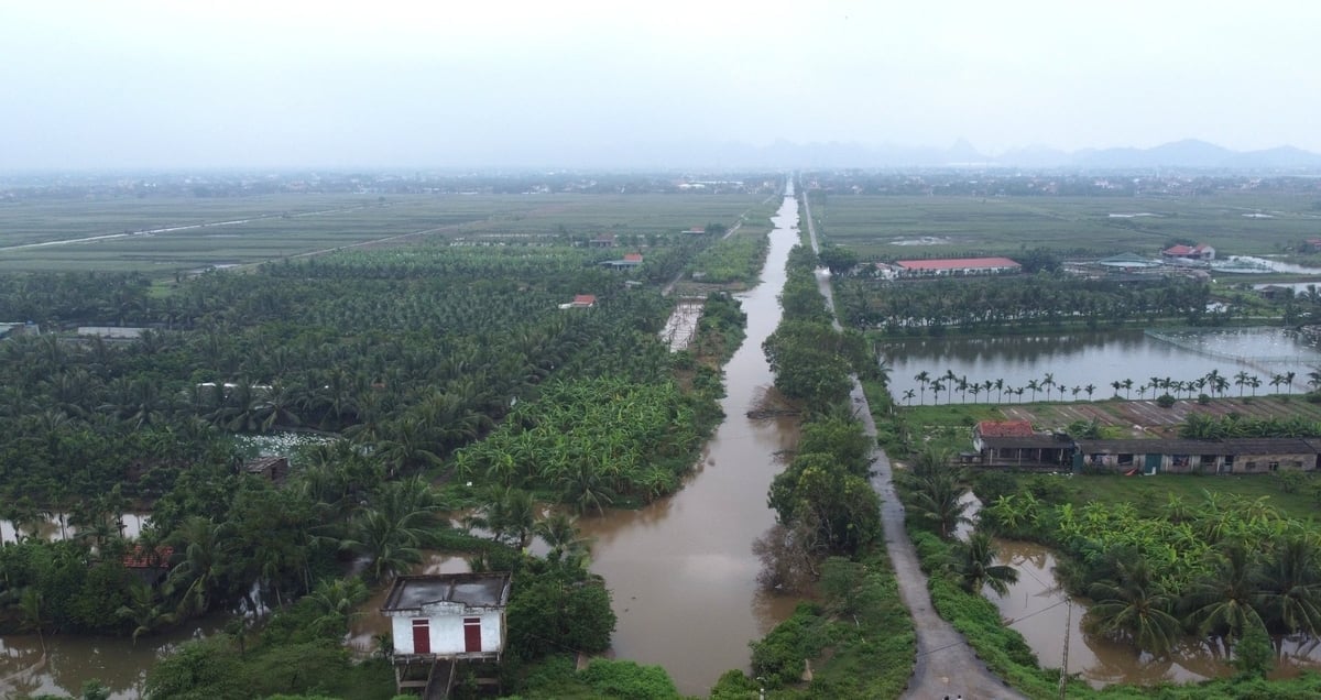 Cống tiêu Trường Sơn không đáp ứng được việc tiêu thoát nước khiến nhiều diện tích đất nông nghiệp bị ảnh hưởng. Ảnh: Thanh Tâm.