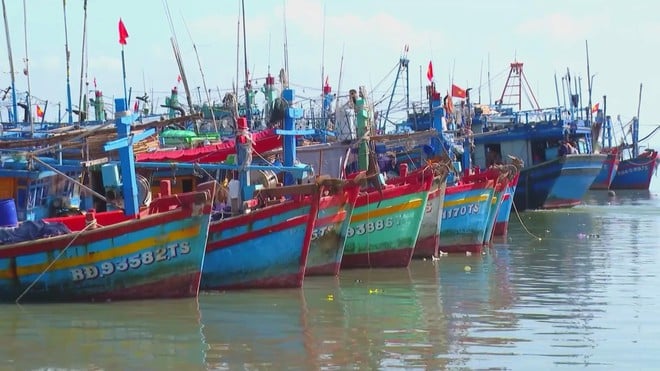TP. Hồ Chí Minh đẩy mạnh giải pháp gỡ