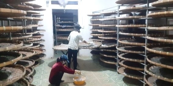 แนวทางแก้ไขทางเทคนิคใหม่เพื่อป้องกันโรคหนอนไหมในฟาร์มหนอนไหมในจังหวัดลัมดง