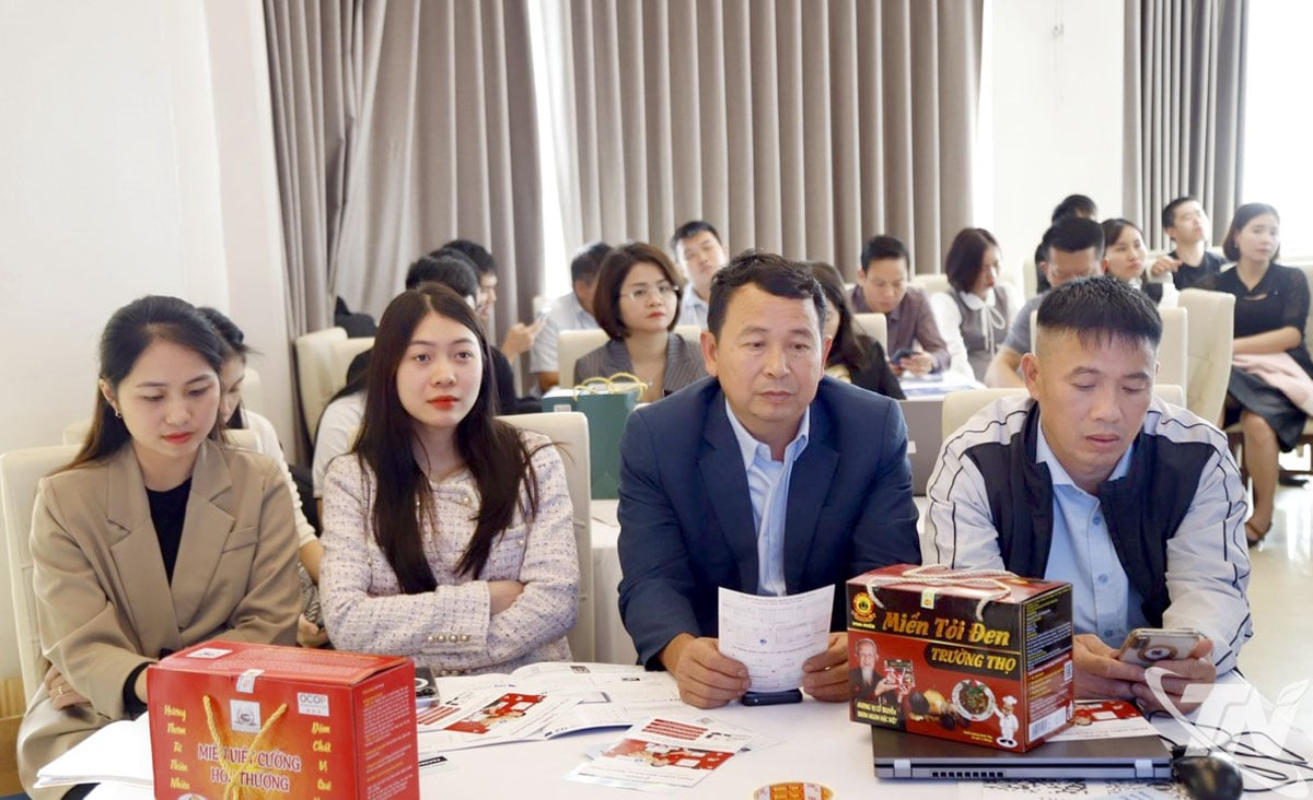 Đại diện các Hợp tác xã trên địa bàn tỉnh tham gia lớp tập huấn