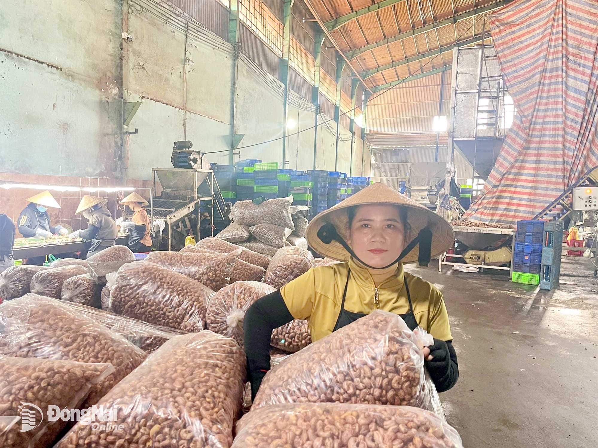 Chị Liên thường xuyên phải làm tăng ca trong xưởng mà vẫn không đủ gánh gồng chi phí điều trị bệnh cho chồng và chăm lo cho các con ăn học. Ảnh: Thu Hiền