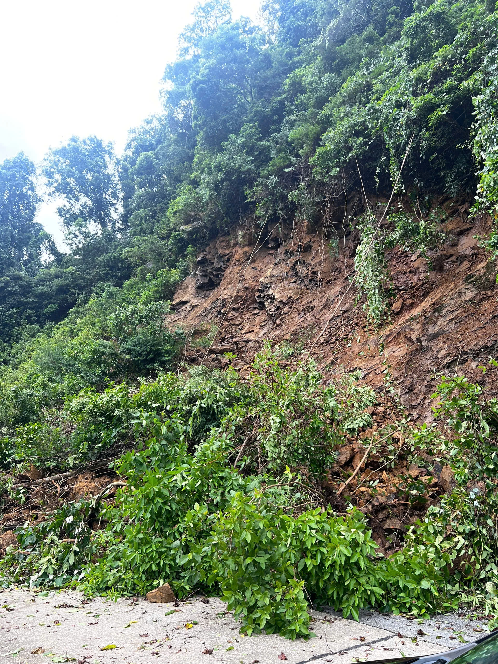 ដីនិងថ្មជិត៣០០ម៉ែត្រគូបនៅឃុំទ្រឿងសឺន