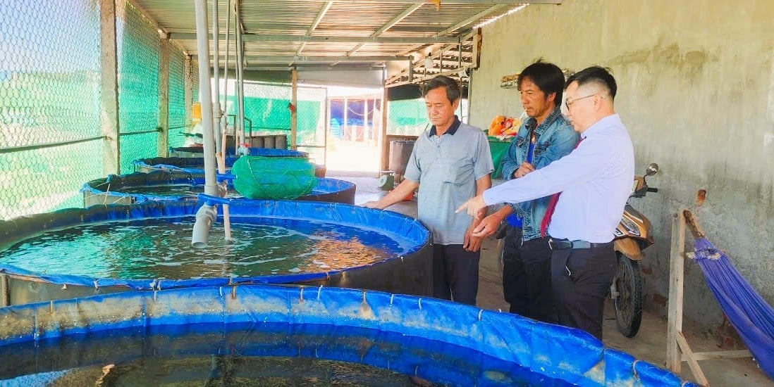 Úvěry sloužící zemědělství a venkovským oblastem v Khanh Hoa zaznamenávají impozantní růst. Tín dụng phục vụ nông nghiệp, nông thôn ở Khánh Hòa đang có mức tăng trưởng ấn tượng.