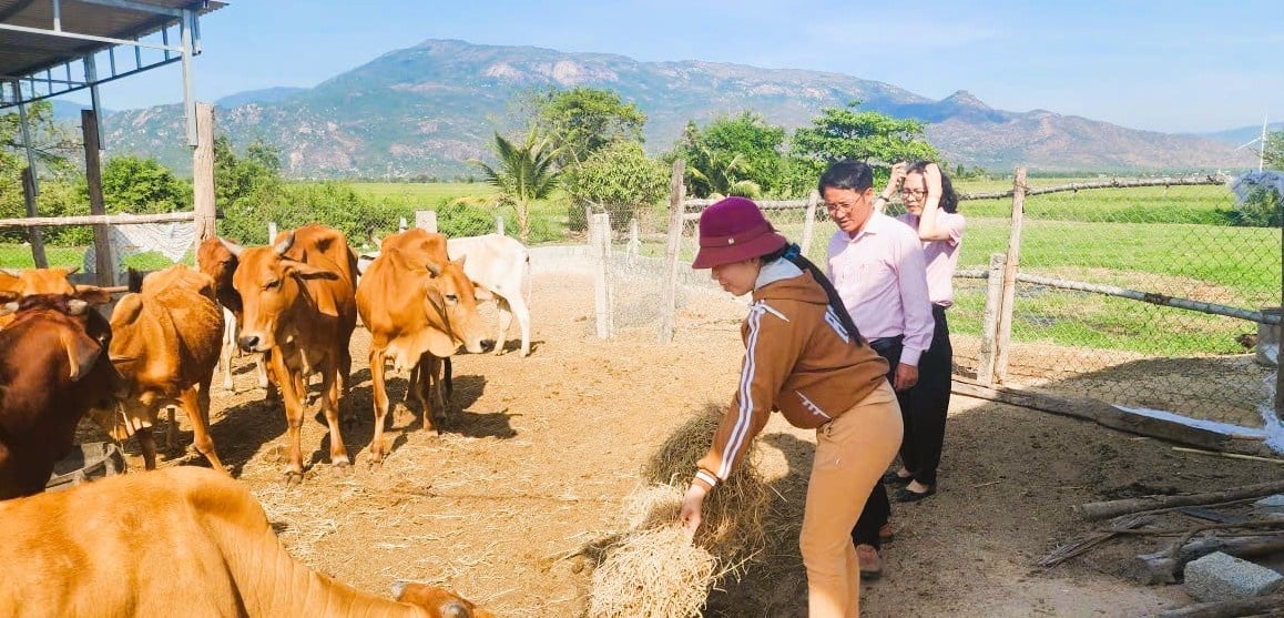 Růst úvěrů je spojen s cílem podporovat investice, výrobu a podnikání a přispívat ke stabilizaci životů lidí. Tăng trưởng tín dụng gắn liền với mục tiêu hỗ trợ đầu tư, sản xuất - kinh doanh, góp phần ổn định đời sống của người dân.