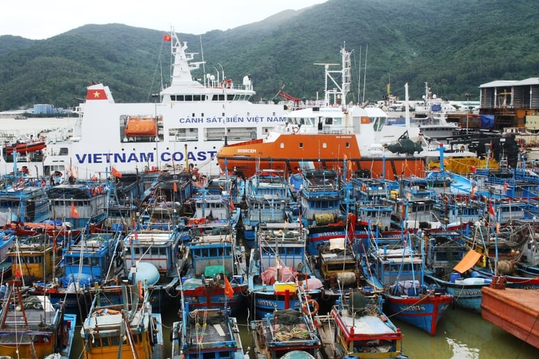 កម្រងរូបថត៖ ប្រជាជននៅតំបន់កណ្តាលប្រញាប់ប្រញាល់ឆ្លើយតបនឹងព្យុះលេខ ១៣ (កាល់ម៉ាហ្គី) - រូបថត ៧. Chùm ảnh: Người dân miền Trung hối hả ứng phó bão số 13 (Kalmaegi)- Ảnh 7.