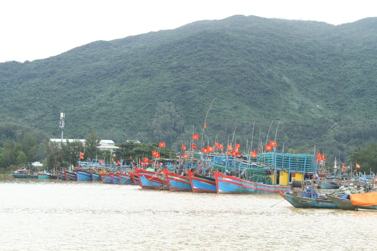 កម្រងរូបថត៖ ប្រជាជននៅតំបន់កណ្តាលប្រញាប់ប្រញាល់ឆ្លើយតបនឹងព្យុះលេខ ១៣ (កាល់ម៉ាហ្គី) - រូបថត ៨ ។ Chùm ảnh: Người dân miền Trung hối hả ứng phó bão số 13 (Kalmaegi)- Ảnh 8.