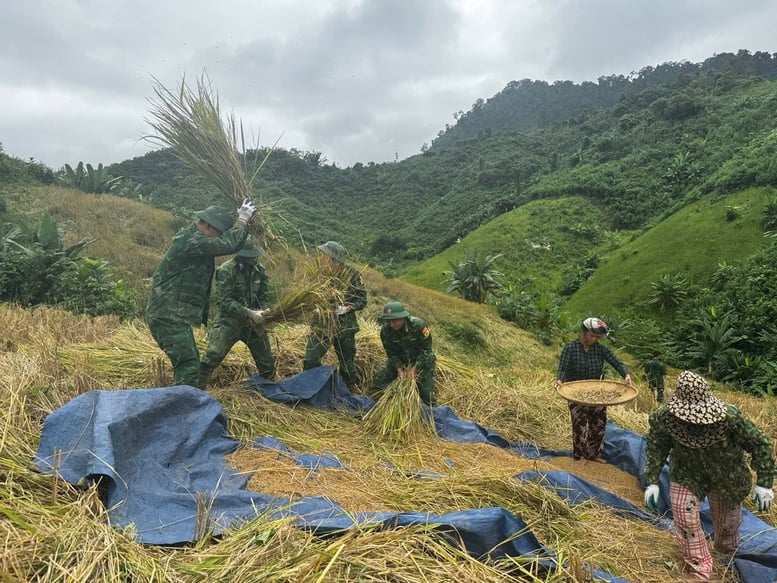 កម្រងរូបថត៖ ប្រជាជននៅតំបន់កណ្តាលប្រញាប់ប្រញាល់ឆ្លើយតបនឹងព្យុះលេខ ១៣ (កាល់ម៉ាហ្គី) - រូបថត ១១។ Chùm ảnh: Người dân miền Trung hối hả ứng phó bão số 13 (Kalmaegi)- Ảnh 11.