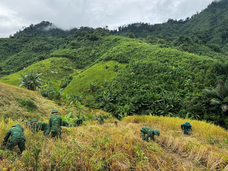 កម្រងរូបថត៖ ប្រជាជននៅតំបន់កណ្តាលប្រញាប់ប្រញាល់ឆ្លើយតបនឹងព្យុះលេខ ១៣ (កាល់ម៉ាហ្គី) - រូបថត ១២ ។ Chùm ảnh: Người dân miền Trung hối hả ứng phó bão số 13 (Kalmaegi)- Ảnh 12.