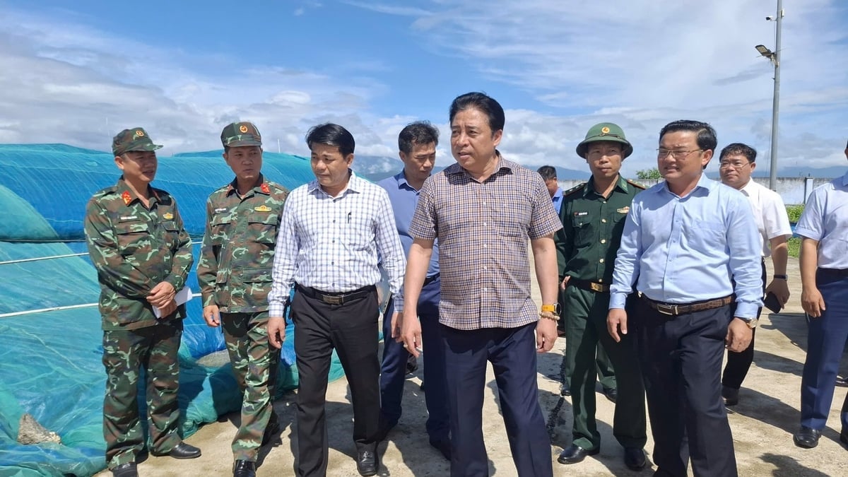 ประธานจังหวัดคั๊ญฮหว่าและคณะทำงานตรวจสอบพื้นที่จอดเรือในเขตนิญฮหว่า ภาพโดย: อันห์ ตวน Chủ tịch tỉnh Khánh Hòa cùng đoàn công tác kiểm tra khu neo đậu tàu thuyền ở khu vực Ninh Hòa. Ảnh: Anh Toàn.