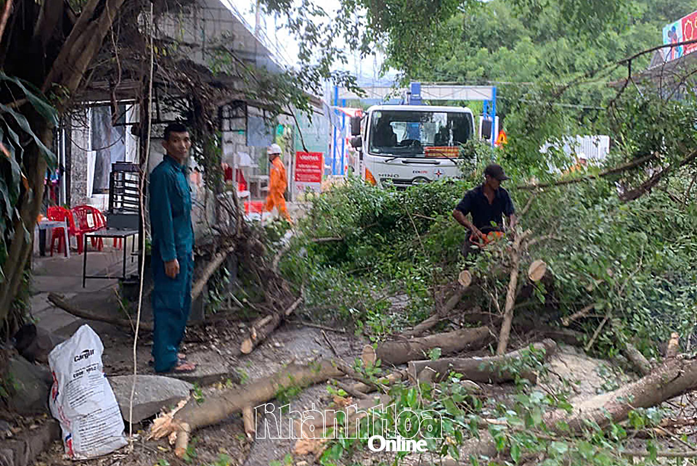 コミューン内の木の剪定。