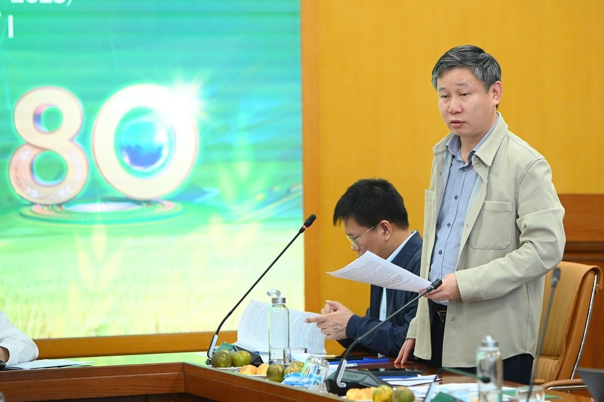 Mr. Nguyen Xuan An, Deputy Director of the Department of Organization and Personnel (Ministry of Agriculture and Environment). Photo: Tung Dinh. Ông Nguyễn Xuân Ân, Phó Vụ trưởng Vụ Tổ chức cán bộ (Bộ Nông nghiệp và Môi trường). Ảnh: Tùng Đinh.