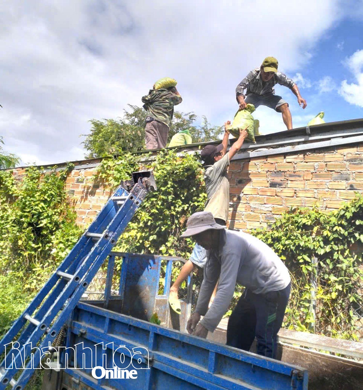 Các lực lượng giúp người dân chẳng chống nhà cửa.