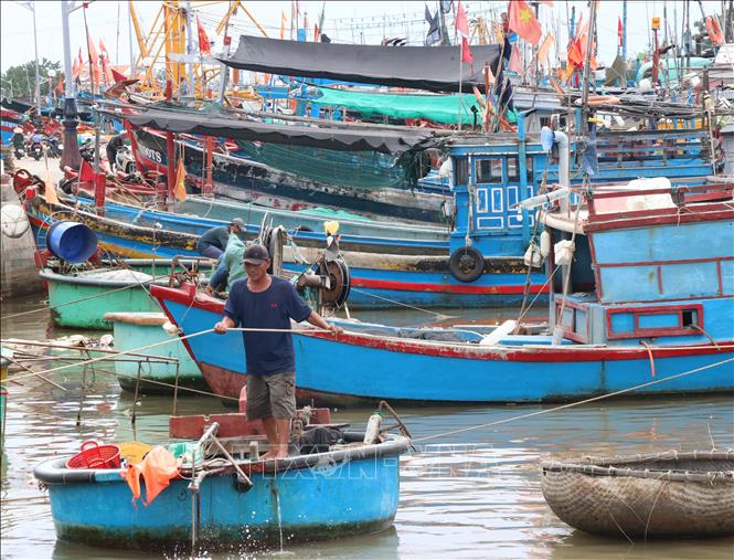 चित्र परिचय