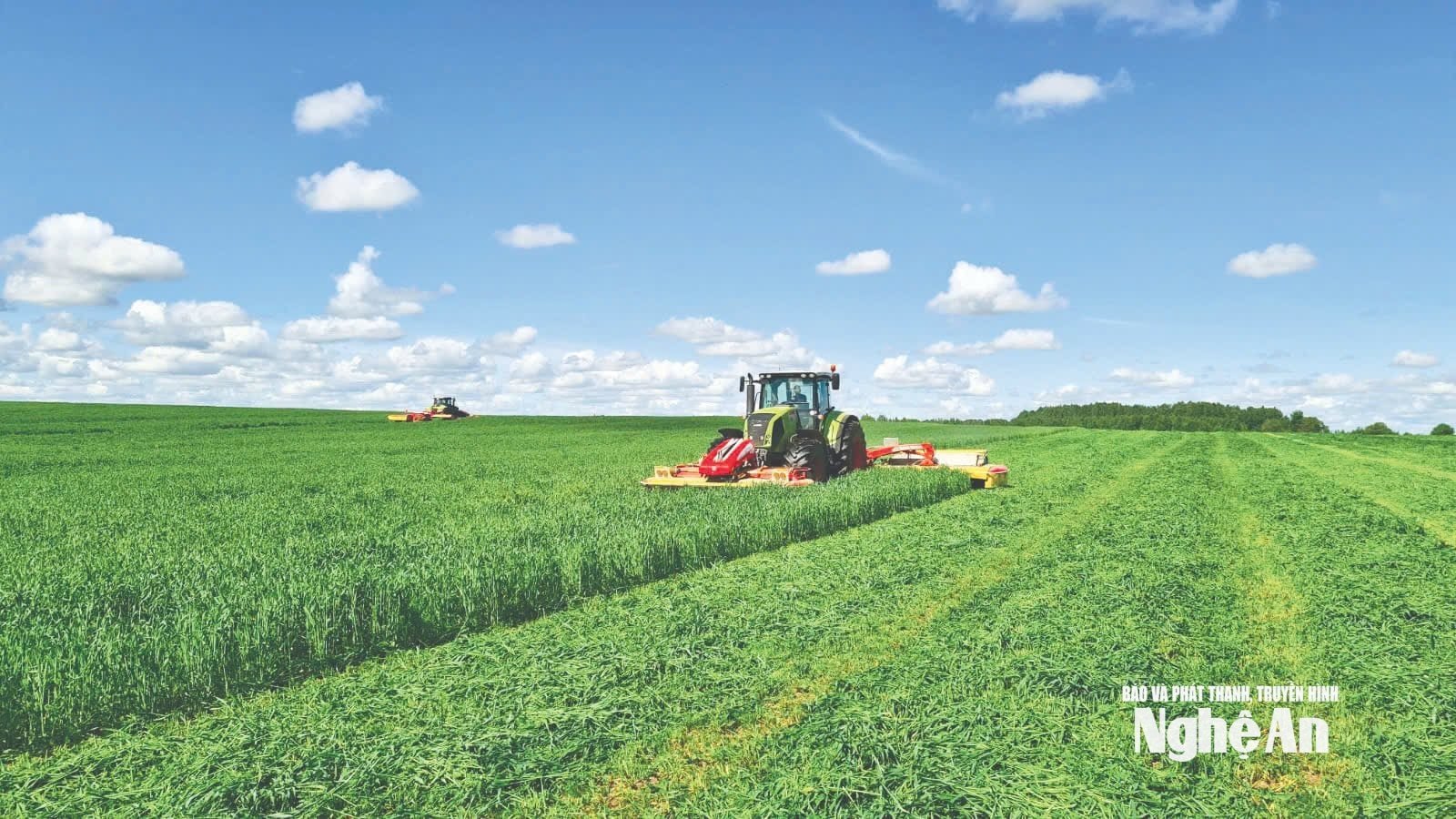 Ρωσικά λιβάδια