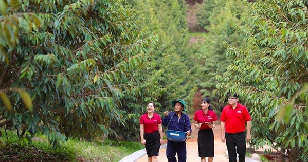 Agribank xanh hóa tín dụng – 'Cầu nối' để phát triển năng lượng xanh tại Việt Nam