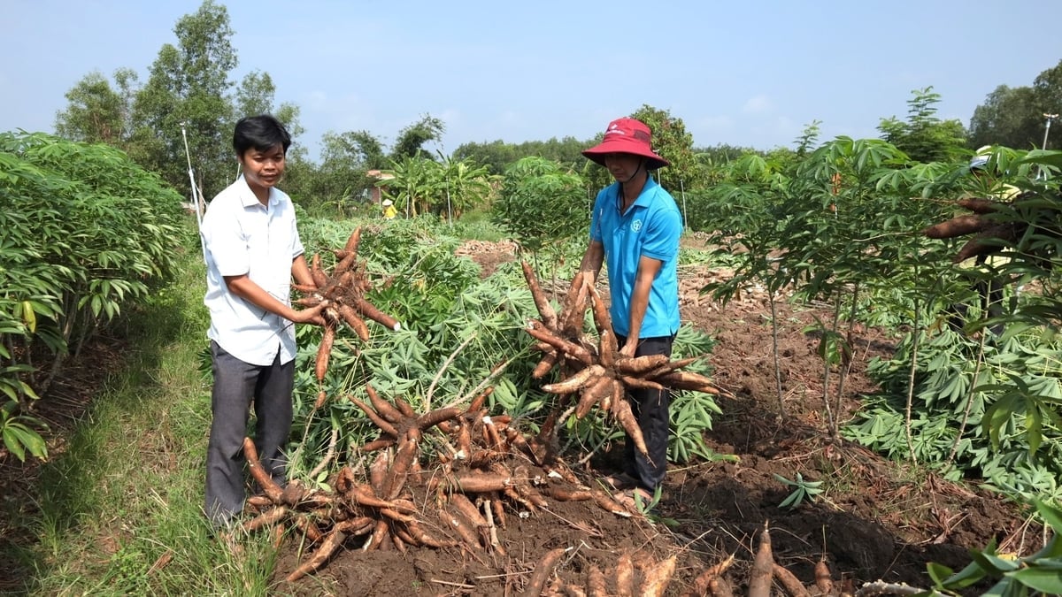 Εισαγάγετε λεζάντα φωτογραφίας Nhập chú thích ảnh