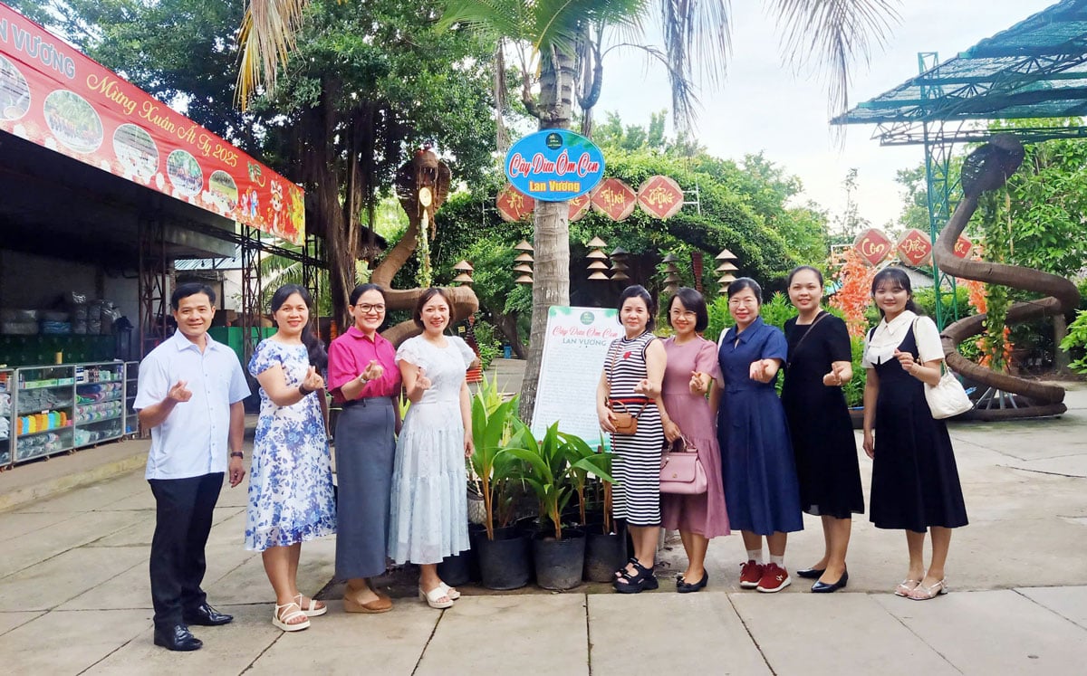Working group surveyed Lan Vuong tourist site (An Hoi ward).