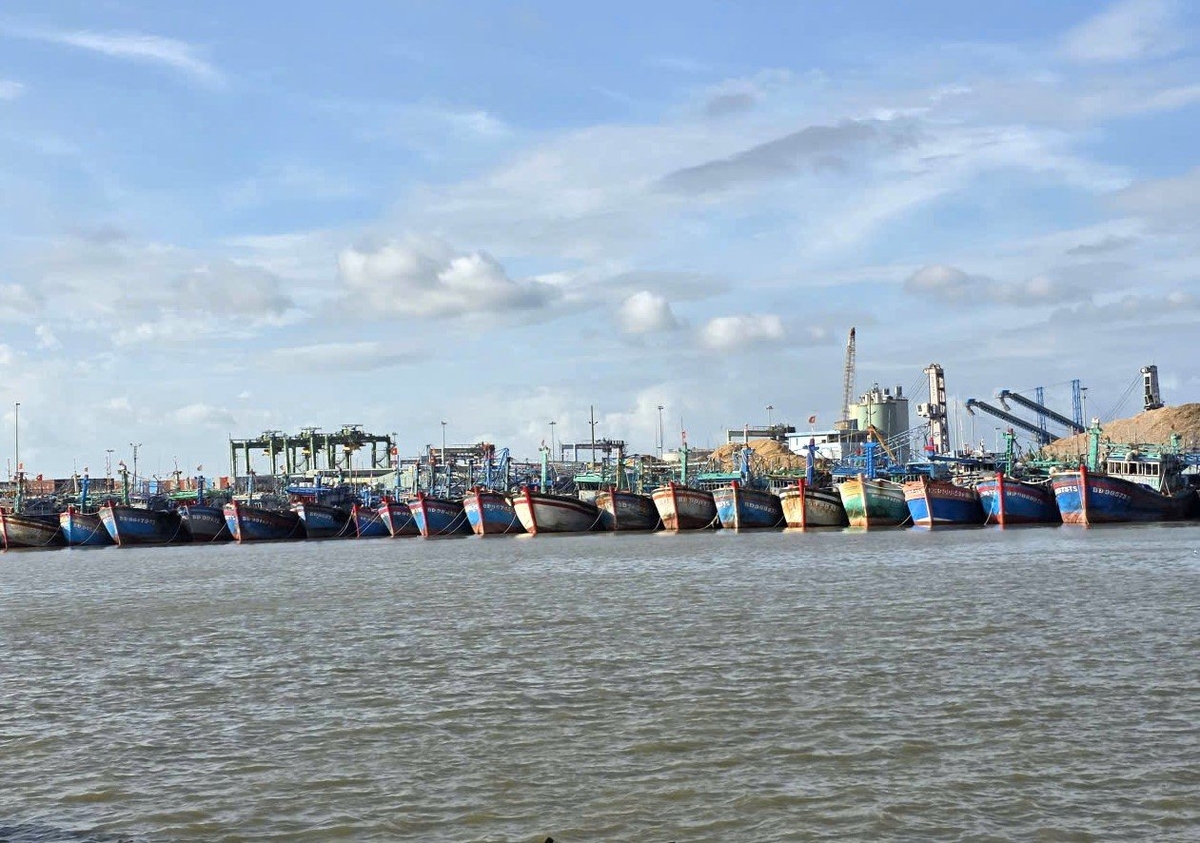 ספינות וסירות הועברו למקום מבטחים. צילום: טואן אנה. Tàu, thuyền đã được di dời về nơi an toàn. Ảnh: Tuấn Anh.