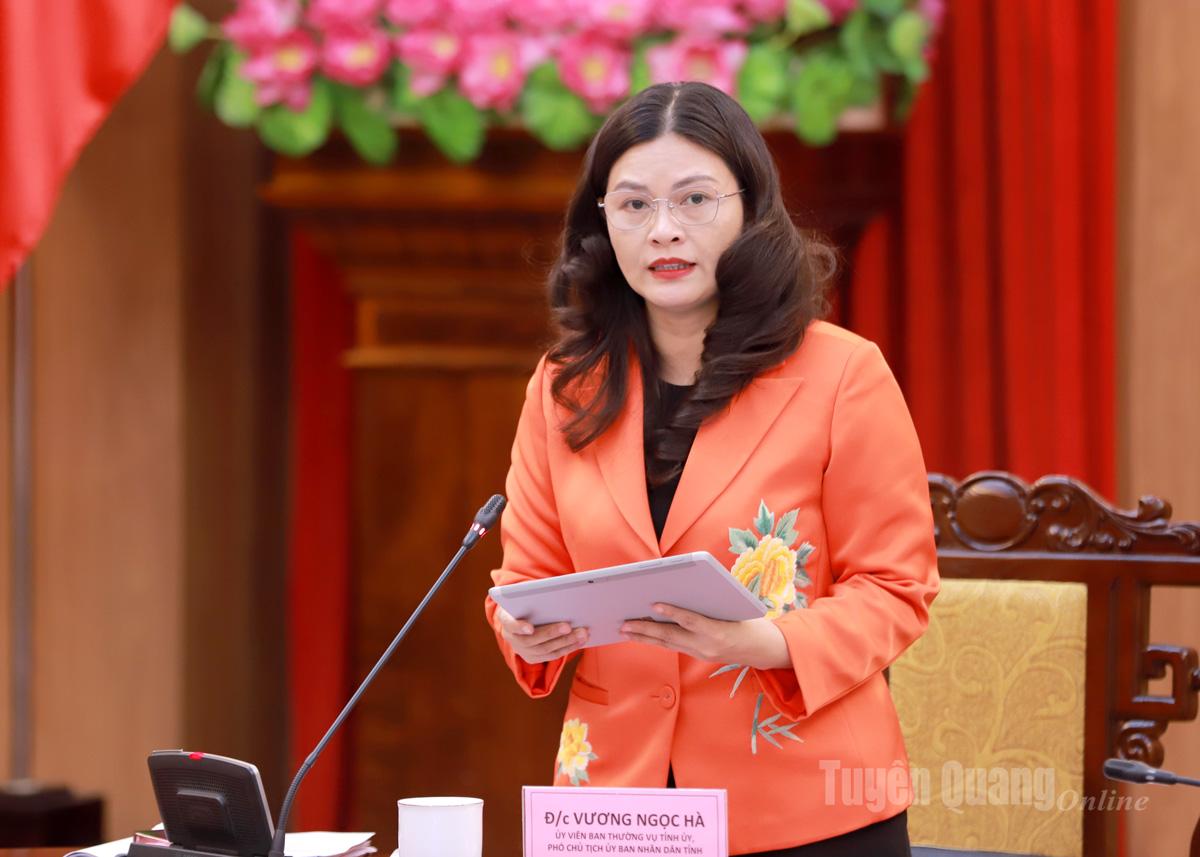 Vice ordförande för provinsens folkkommitté, Vuong Ngoc Ha, sammanfattade diskussionernas innehåll vid mötet.