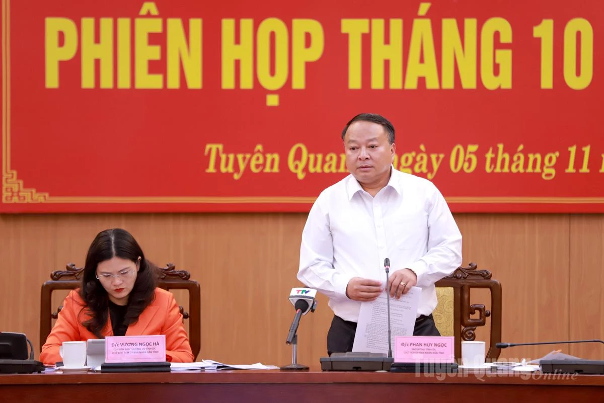 Ordföranden för provinsens folkkommitté, Phan Huy Ngoc, höll ett avslutande tal vid mötet.