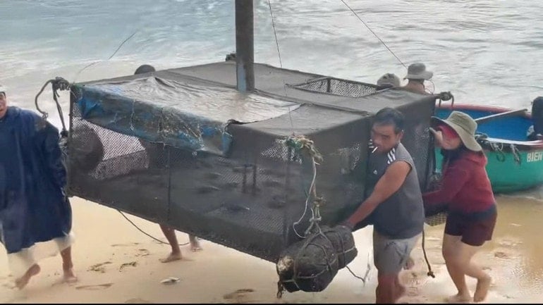 People in coastal communes of Dak Lak province brought seafood cages ashore to avoid damage. img-0636-9610.jpg