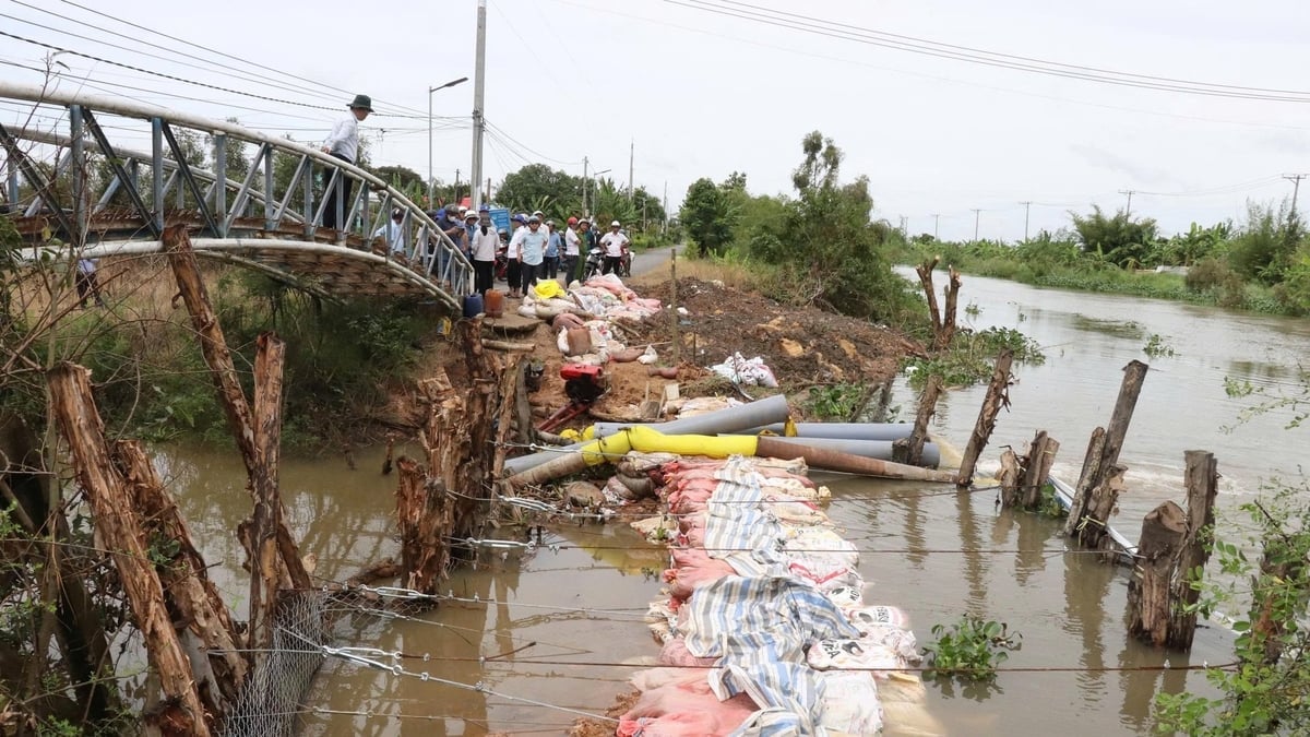 Nhiều khu dân cư thấp trũng tại vùng Đồng Tháp Mười bị chia cắt cục bộ, người dân phải huy động mọi phương tiện chống đỡ, kê kích tài sản và gia cố bờ bao. Ảnh: CTV.