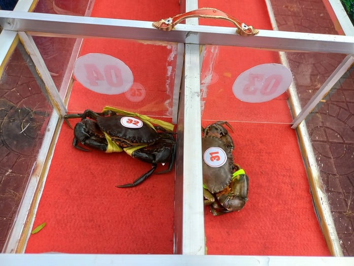 Nhiều trò chơi dân gian hấp dẫn tại Ngày hội cua Cà Mau - Ảnh 3.