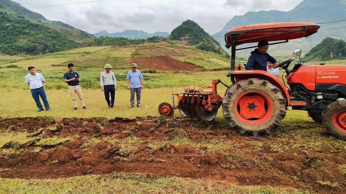 Cán bộ kỹ thuật và người dân xã Pú Nhung tham gia khởi động mô hình trồng dứa, mở đầu cho chương trình phát triển vùng nguyên liệu bền vững tại địa phương. Ảnh: Hoàng Châu. 