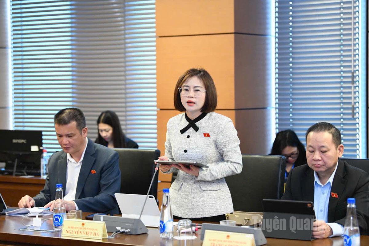 ผู้แทนเหงียน เวียด ฮา กล่าวสุนทรพจน์ในการอภิปราย