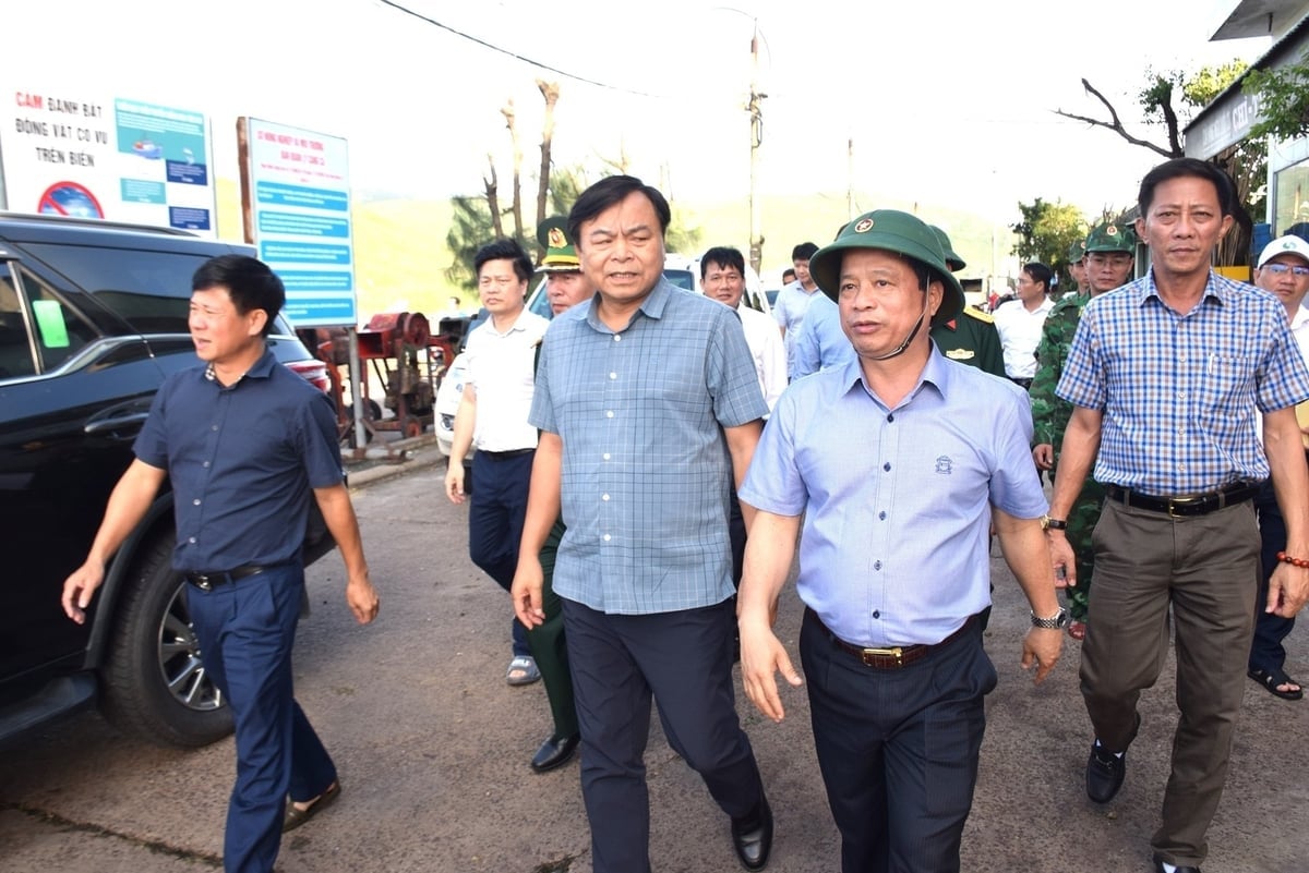 Thứ trưởng Bộ Nông nghiệp và Môi trường Nguyễn Hoàng Hiệp kiểm tra công tác phòng chống bão số 13 tại Cảng cá Quy Nhơn. Ảnh: V.Đ.T.