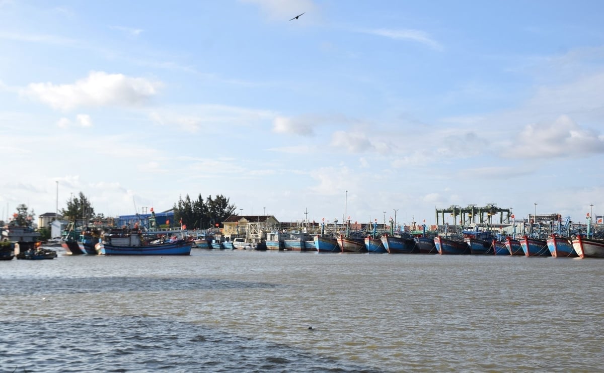 Tàu cá về Cảng cá Quy Nhơn neo đậu tránh trú bão số 13. Ảnh: V.Đ.T.