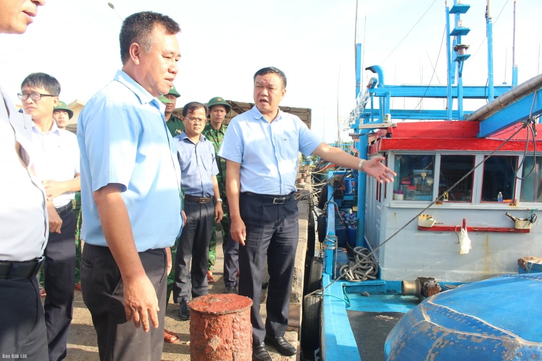 Vicepreședintele Comitetului Popular Provincial, Dao My, a inspectat acostarea ambarcațiunilor în portul de pescuit Dong Tac (secția Phu Yen).