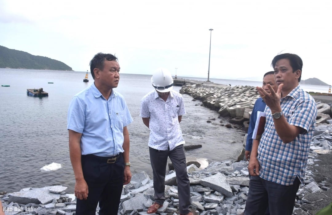Vicepreședintele Comitetului Popular Provincial, Dao My, a inspectat zona golfului Vung Ro.