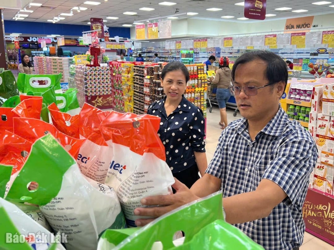 پیش از فصل بارندگی، وزارت صنعت و تجارت نیز طرحی برای ذخیره کالاها تدوین کرد و با کسب و کارها برای آماده‌سازی منابع غذایی جهت خدمت‌رسانی به مردم محلی در همه شرایط همکاری کرد.