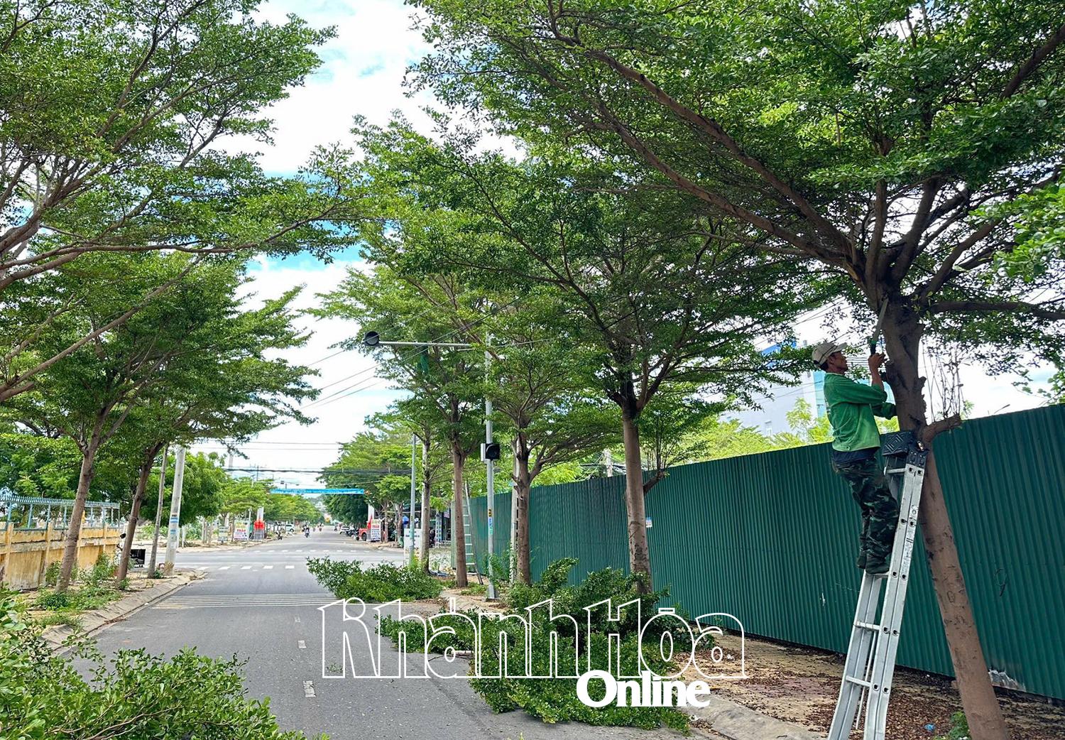 Organisieren Sie Reinigungs- und Baumschnittarbeiten, um die Risiken bei starkem Wind und heftigen Regenfällen zu minimieren.