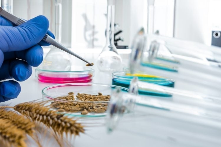 Transformando a biotecnologia agrícola em uma nova força motriz para o crescimento verde. Foto: Minh Anh. Đưa công nghiệp sinh học nông nghiệp trở thành động lực mới cho tăng trưởng xanh. Ảnh: Minh Anh.