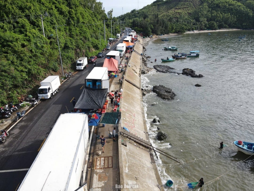 Drukke vrachtwagens laden kreeften in voordat storm nr. 13 de kust bereikt. Foto: Dang Du