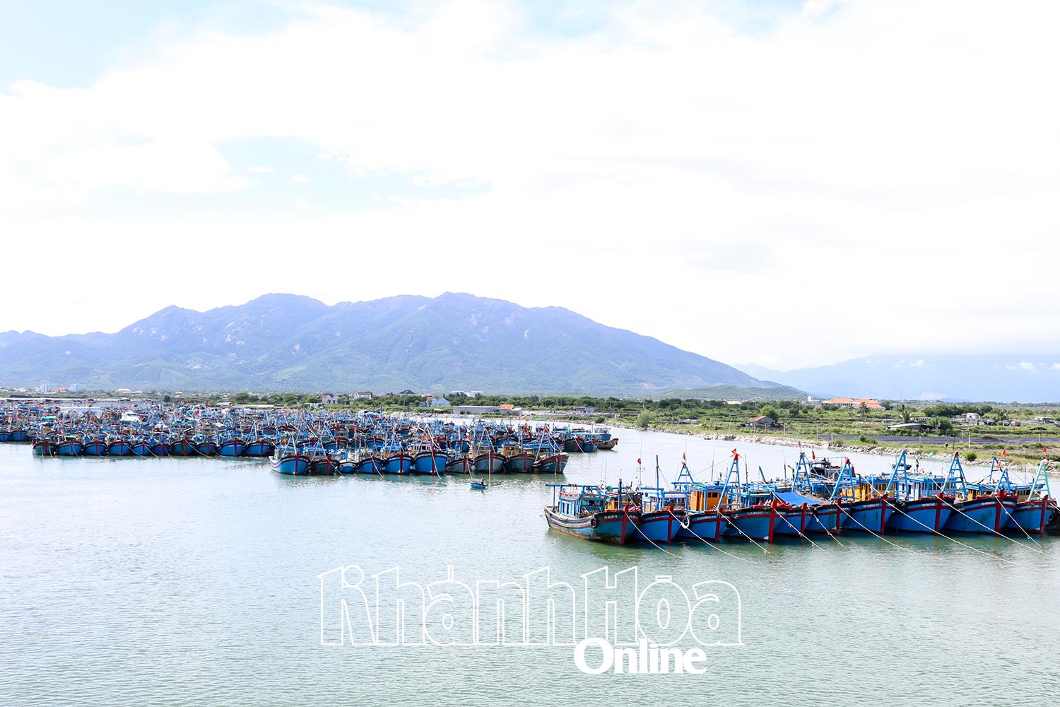 Khu neo đậu tránh trú bão Ninh Hải trưa 5-11 đã tiếp nhận hơn 300 tàu.