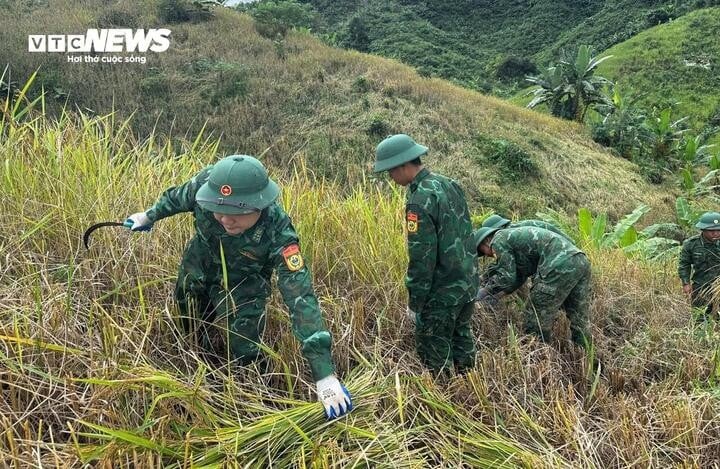 កម្លាំងប៉ុស្តិ៍ការពារព្រំដែន La Êê បានសម្របសម្រួលជាមួយសម្ព័ន្ធនារីឃុំ La Êê ជួយប្រជាពលរដ្ឋច្រូតស្រូវនៅភូមិ Pa Lan និង Po Oi (ឃុំ La Êê) ដល់
