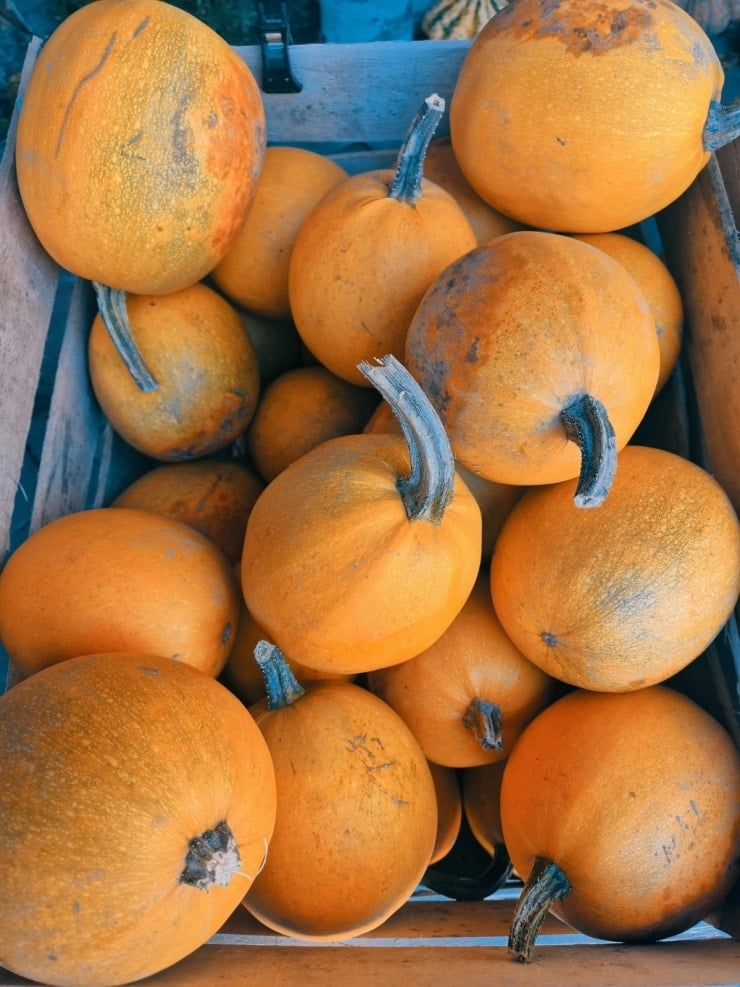 Labu diisih dan dipamerkan dalam kotak kayu.