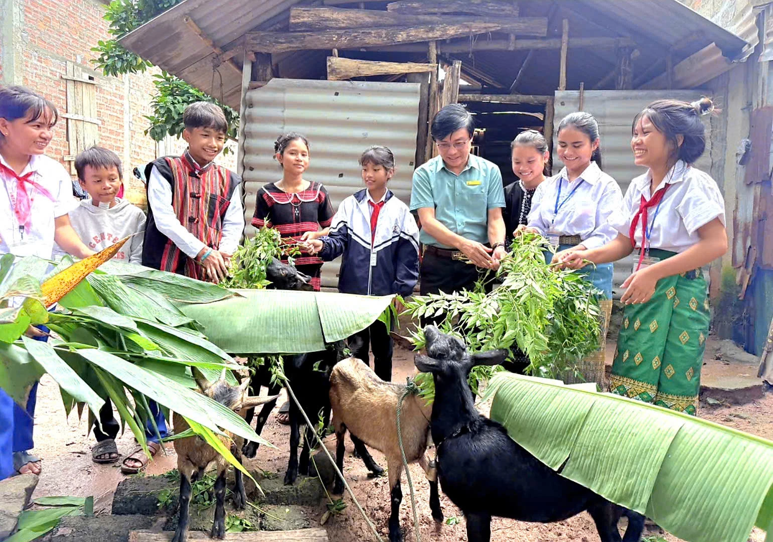 Geiteoppdrettsmodellen for husholdninger sponset av Planprosjektet bidrar til å gjenskape geiteoppdrettsmodellen i Lia kommune - Foto: K.S