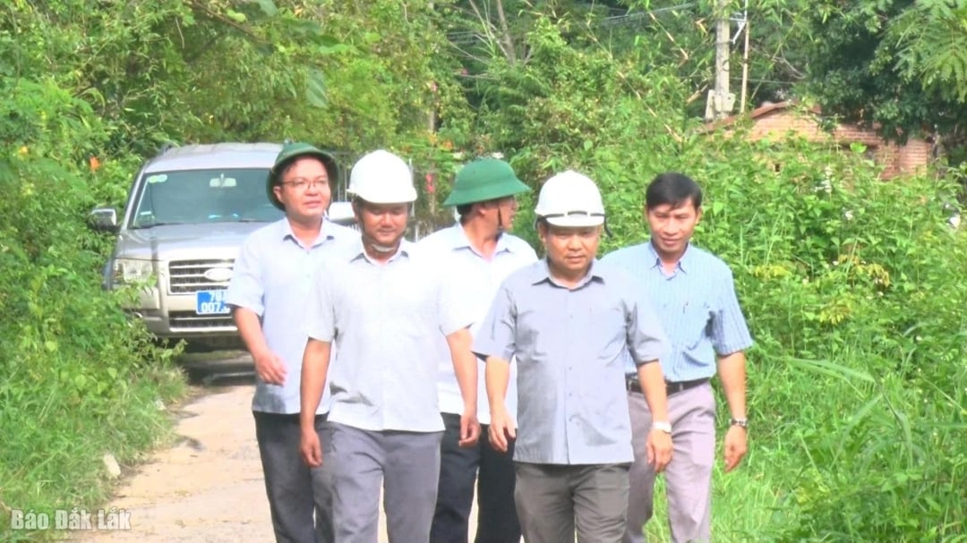 Ledare för Dong Xuan-kommunen inspekterade utsatta områden i området.