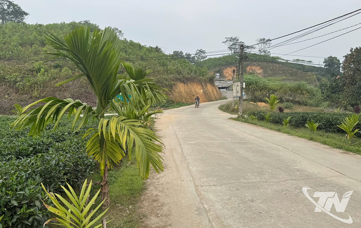 Nhờ chương trình hỗ trợ xi măng, nhiều tuyến đường nông thôn
trên địa bàn tỉnh được mở rộng, cứng hóa.