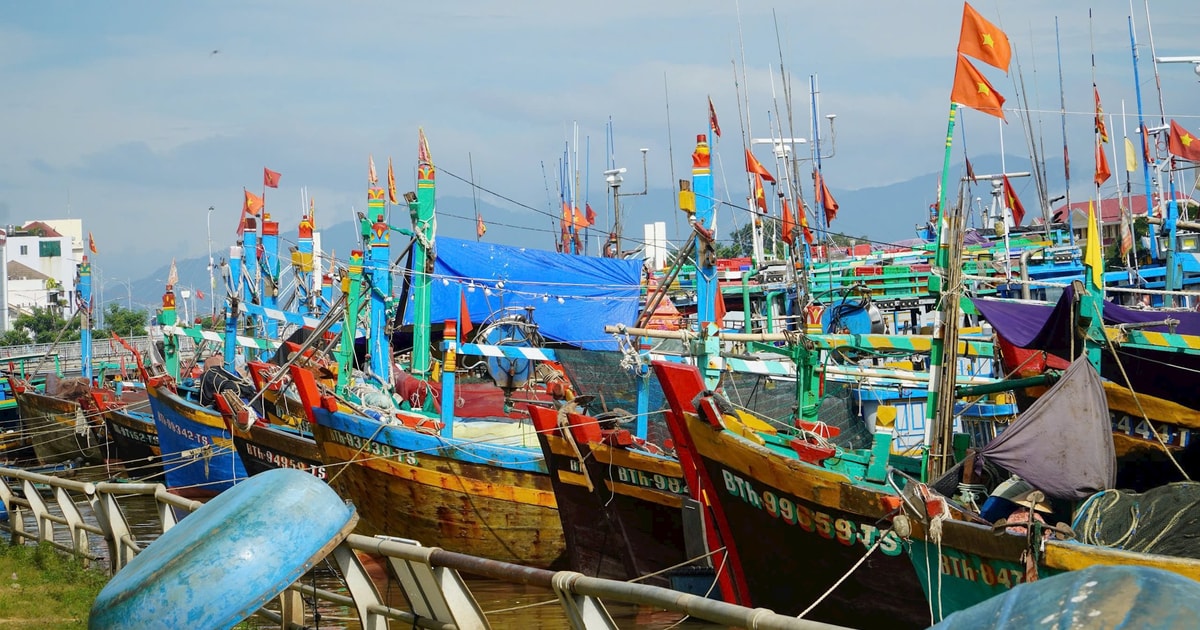 Lực lượng vũ trang tuyến biển Lâm Đồng cùng ngư dân ứng phó bão KALMAEGI