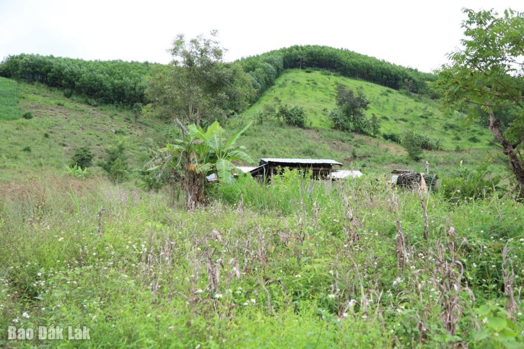 Một điểm có nguy cơ sạt lở xuống nhà nhân.