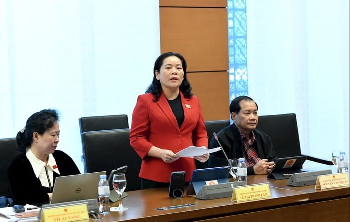 Đại biểu Quốc hội nêu ý kiến về thu thuế chuyển nhượng vàng miếng - Ảnh 1.